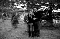 TreeFarm-0018
