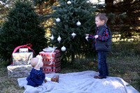 Tree Farm-0076