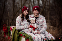sleigh-4912