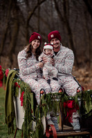 sleigh-4922