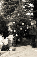 Tree Farm-0078